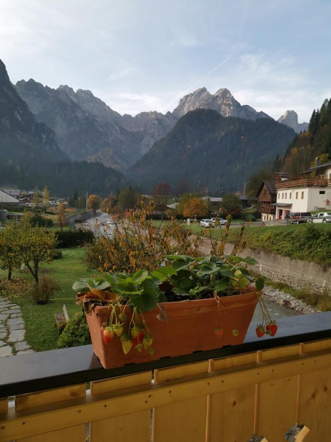 All'Amicizia Santo Stefano Di Cadore Exterior photo